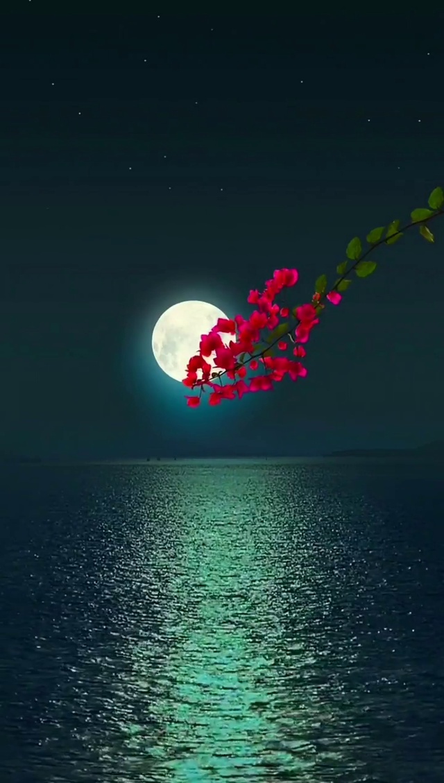 月光