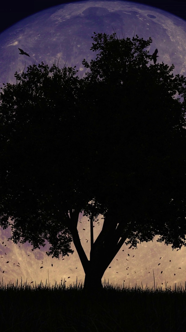 满月与大树（双端4K）