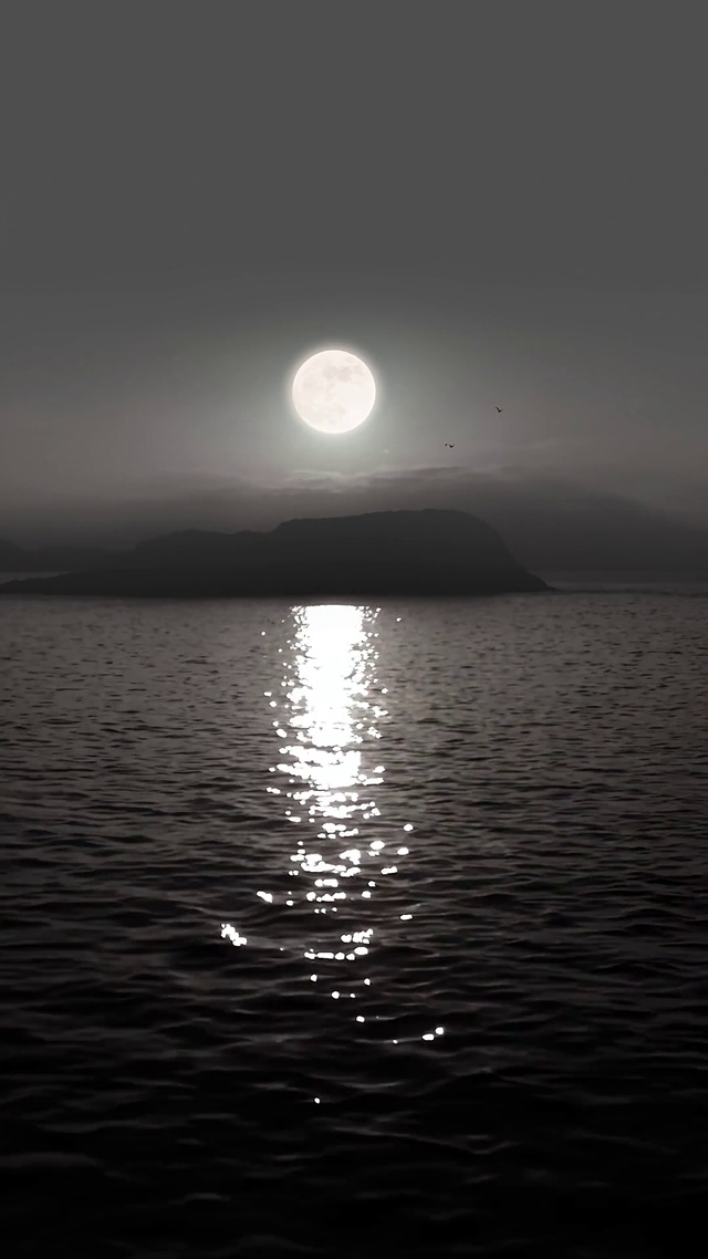 意境夜色
