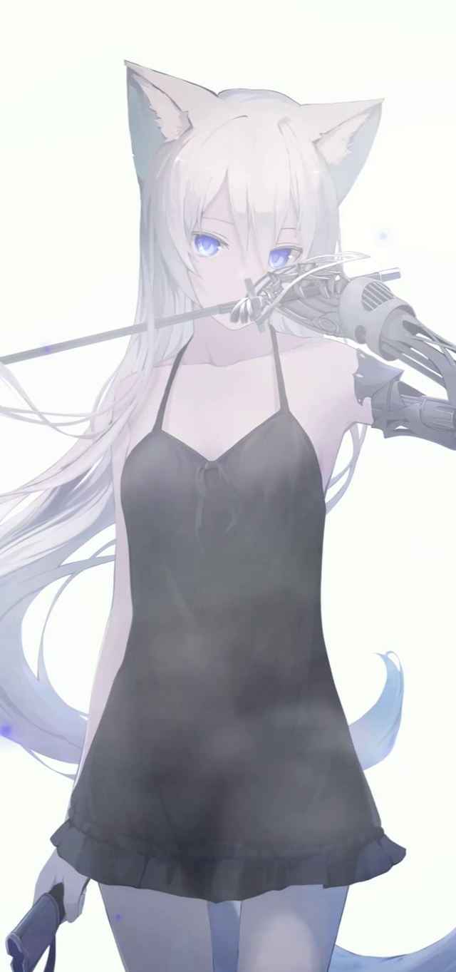 银狐