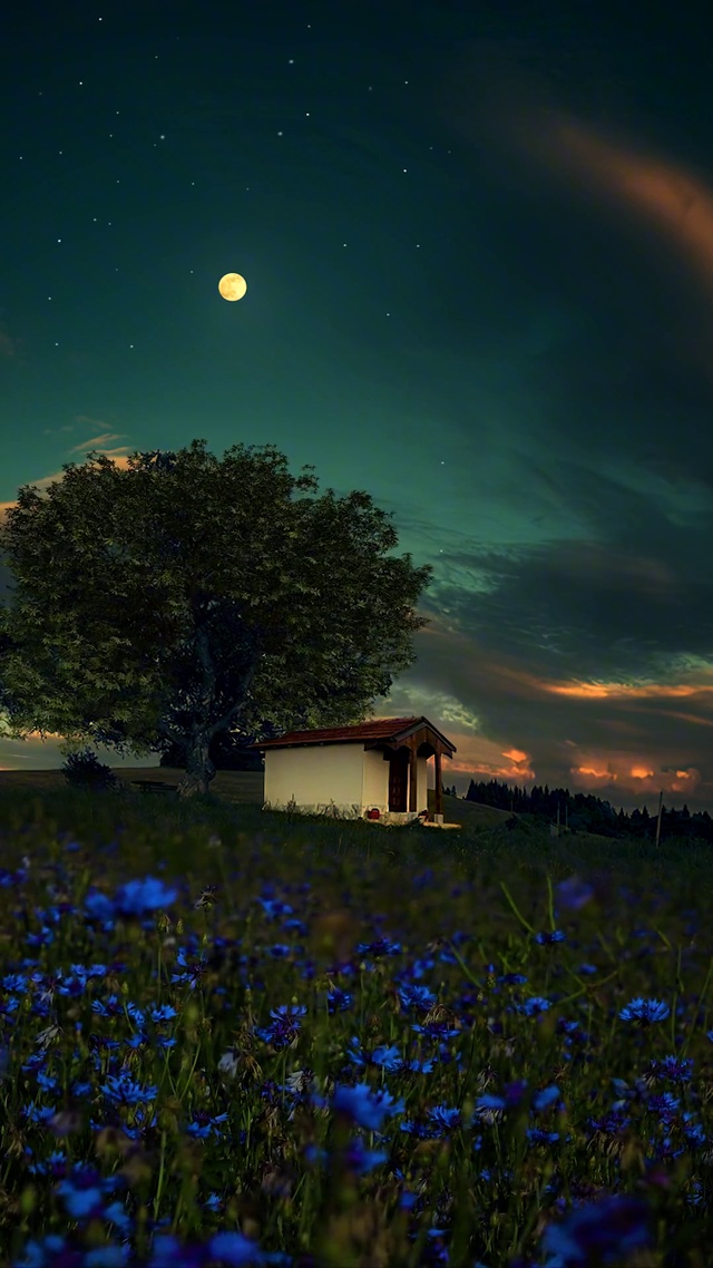 宁静的夜晚