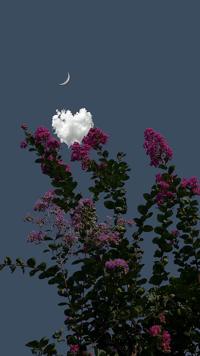 治愈系夜景