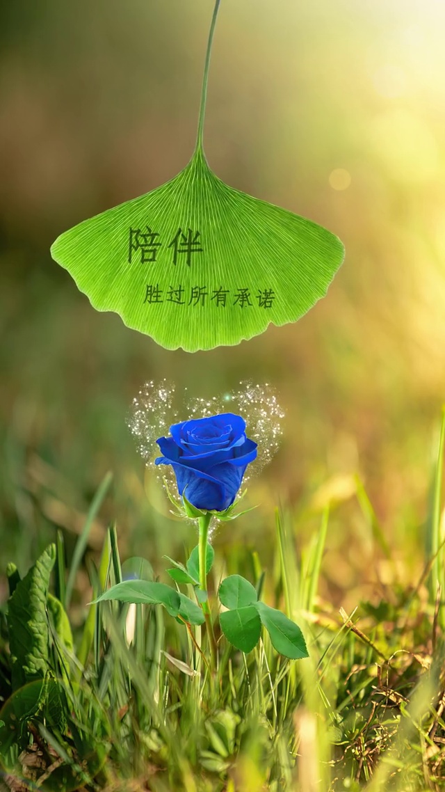 陪伴胜过所有承诺