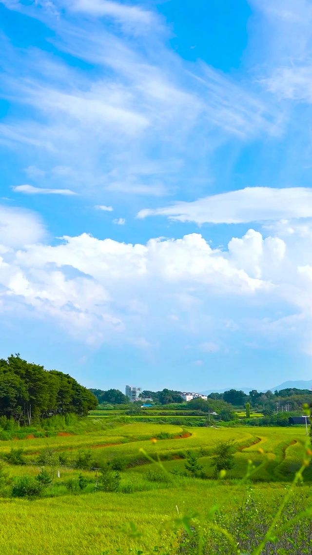 蓝天白云乡村田野