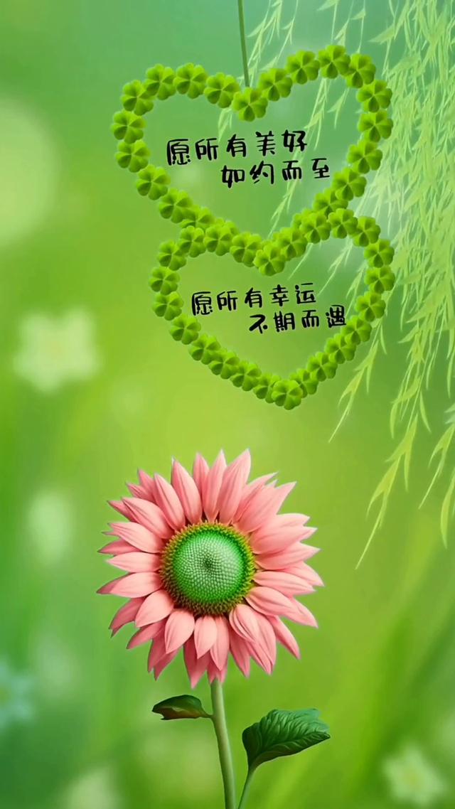 愿所有美好如约而至