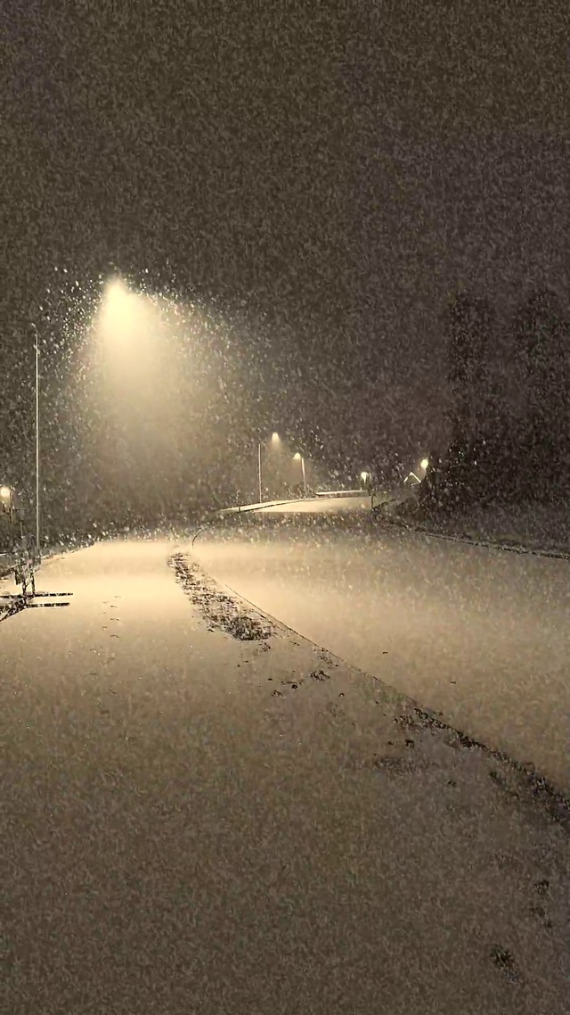 爆款夜晚下雪壁纸