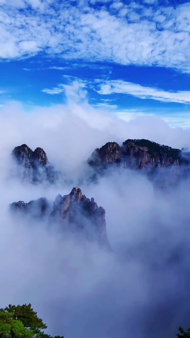 山以云为衣,云以山为体,云雾缭绕人间仙境,梦幻黄山欢迎您!(风景手机动态壁纸) - 风景手机壁纸下载 - 元气壁纸