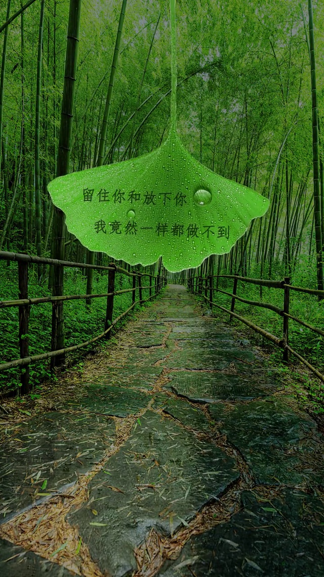 留住你和放下你，我竟然一样都做不到