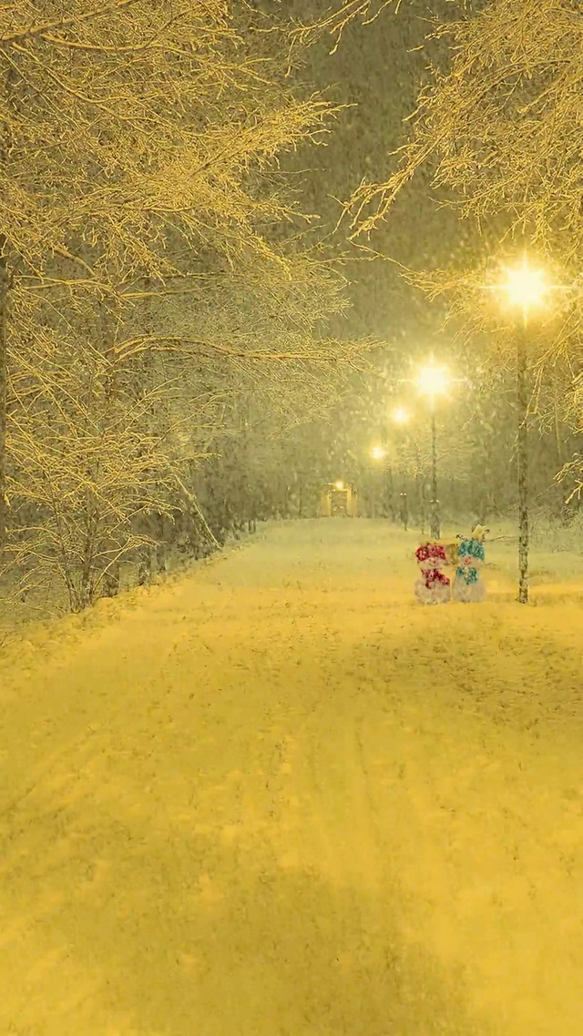 爆款凌晨雪人雪景