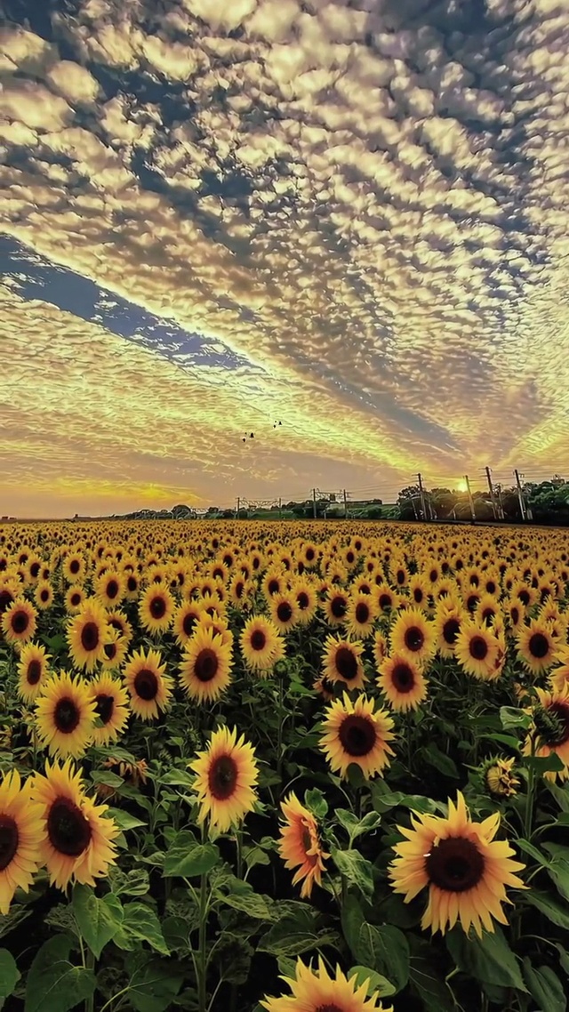 入目无他人，四下皆是你(´▽`ʃ♡ƪ)