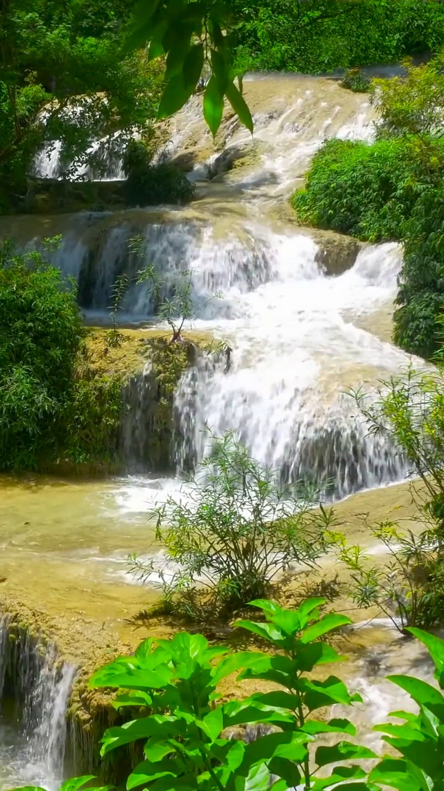 护眼绿林山涧溪水