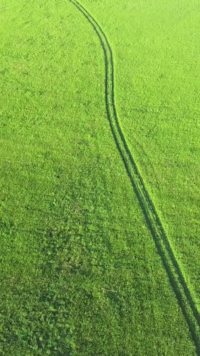 4K 高清 绿色田野道路鸟瞰图