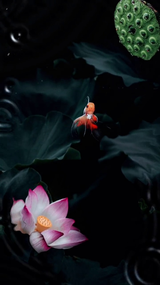 心静如水