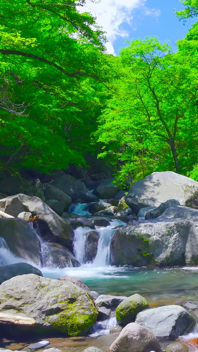 夏日绿林山涧