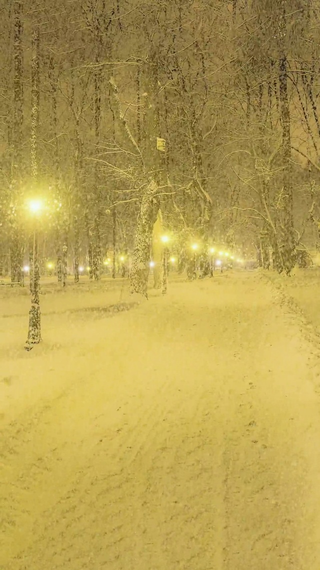 爆款唯美治愈雪景