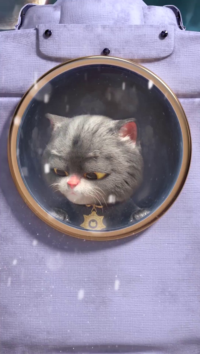 斑布猫-点燃木星