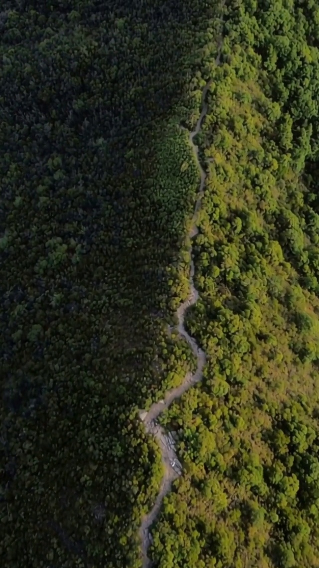 风景