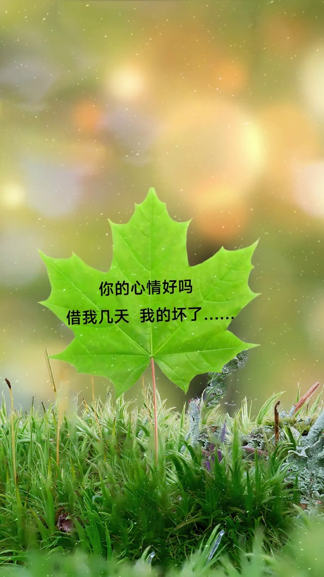 你心情好吗