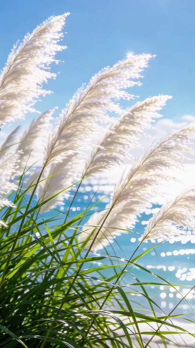 风之絮·海之镜
