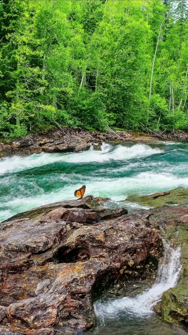 清凉一夏，绿意清新
