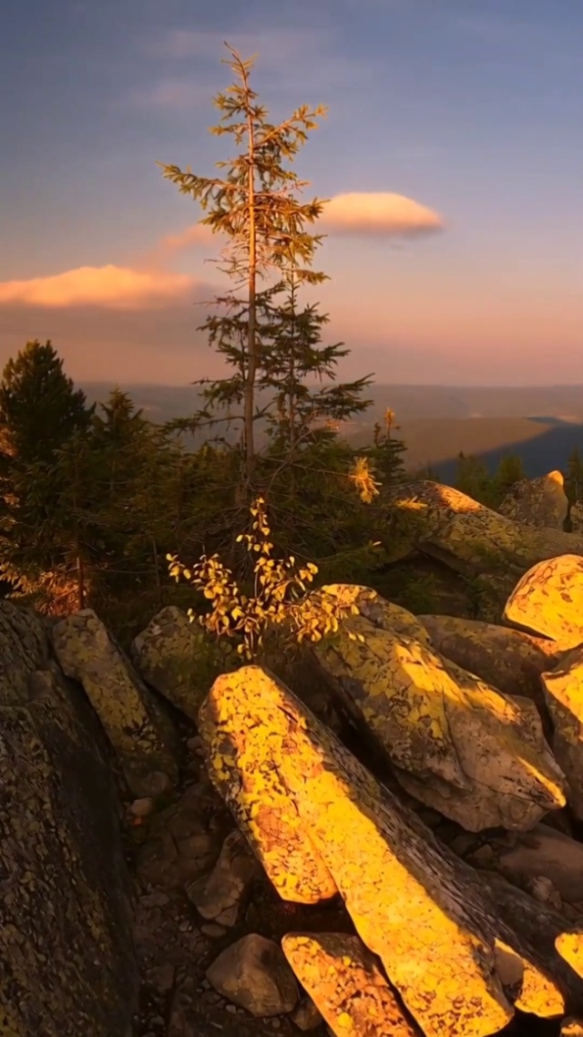 风景