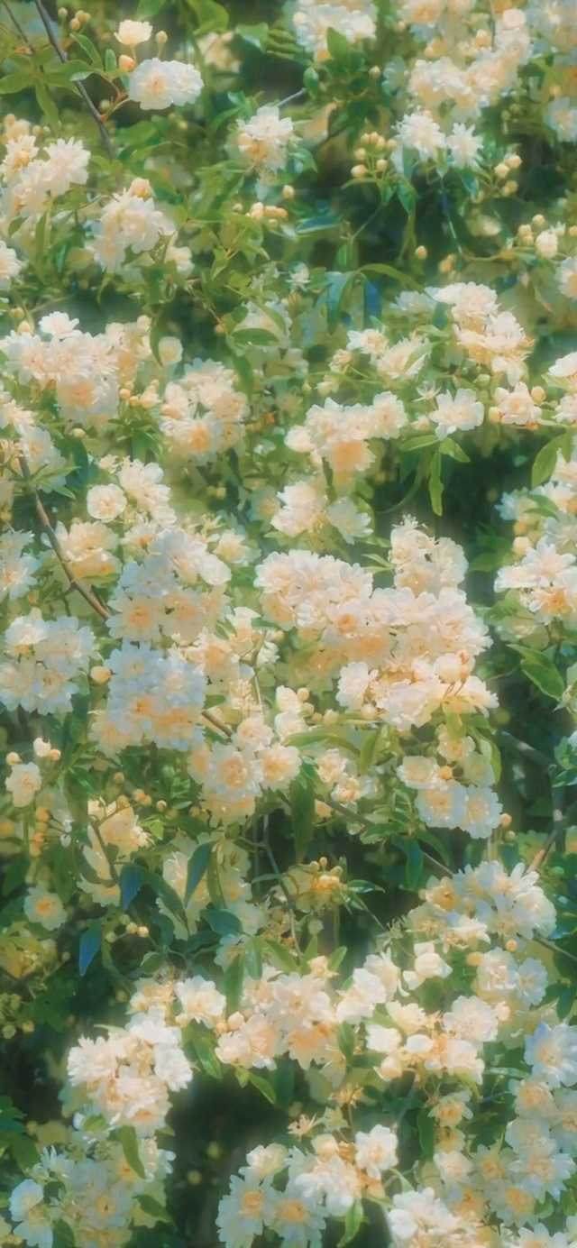 春意～