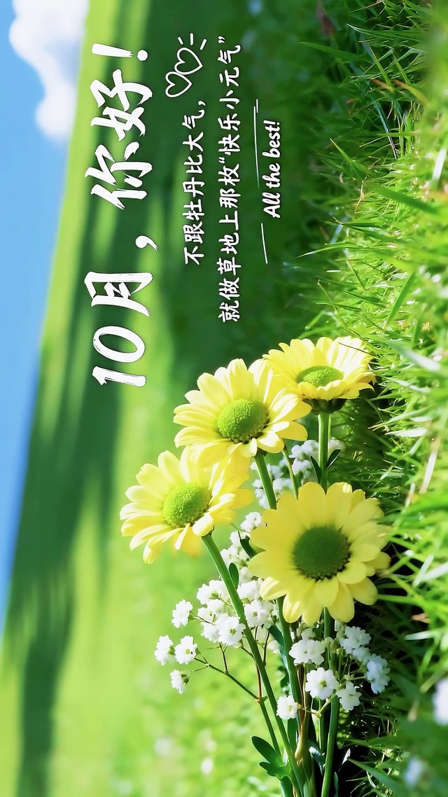 10月壁纸-元气小雏菊
