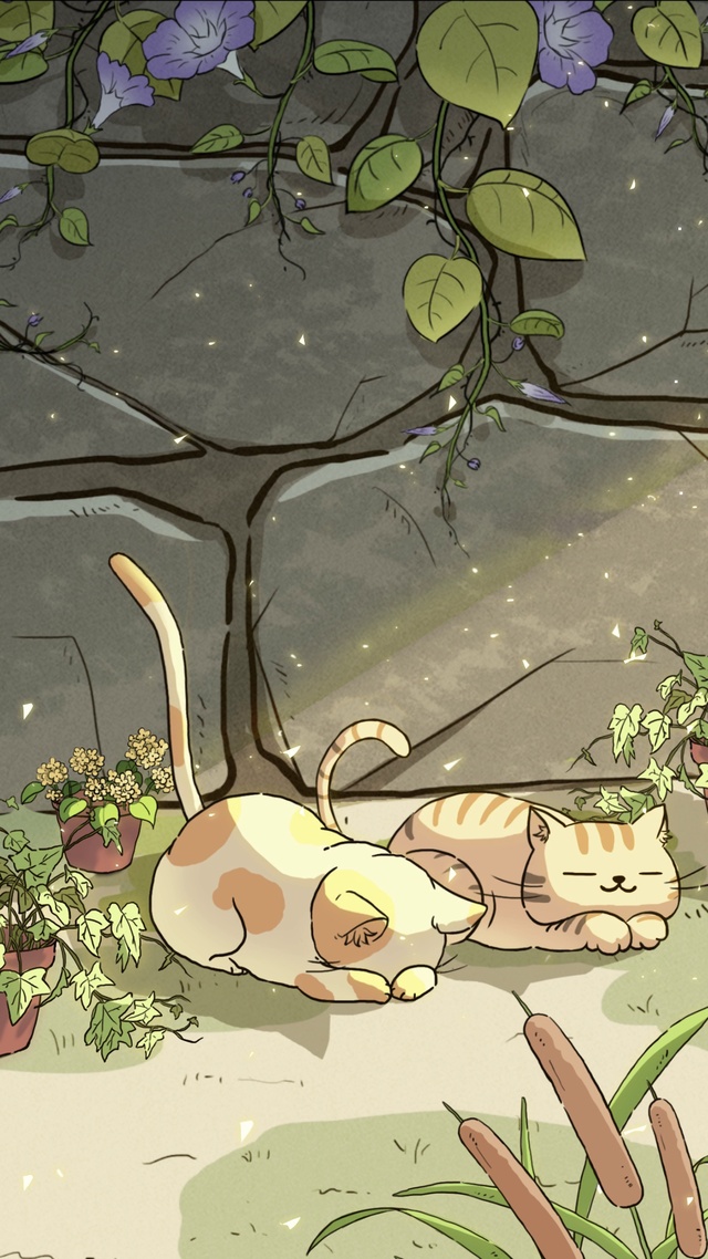 治愈猫猫