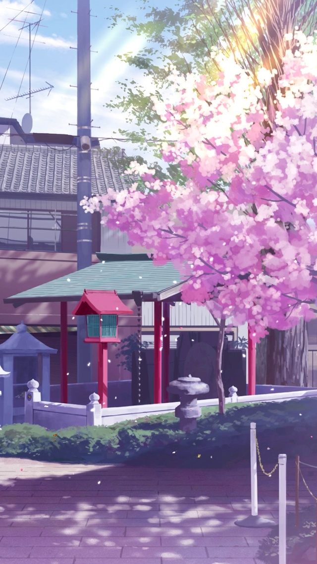 春天樱花路口