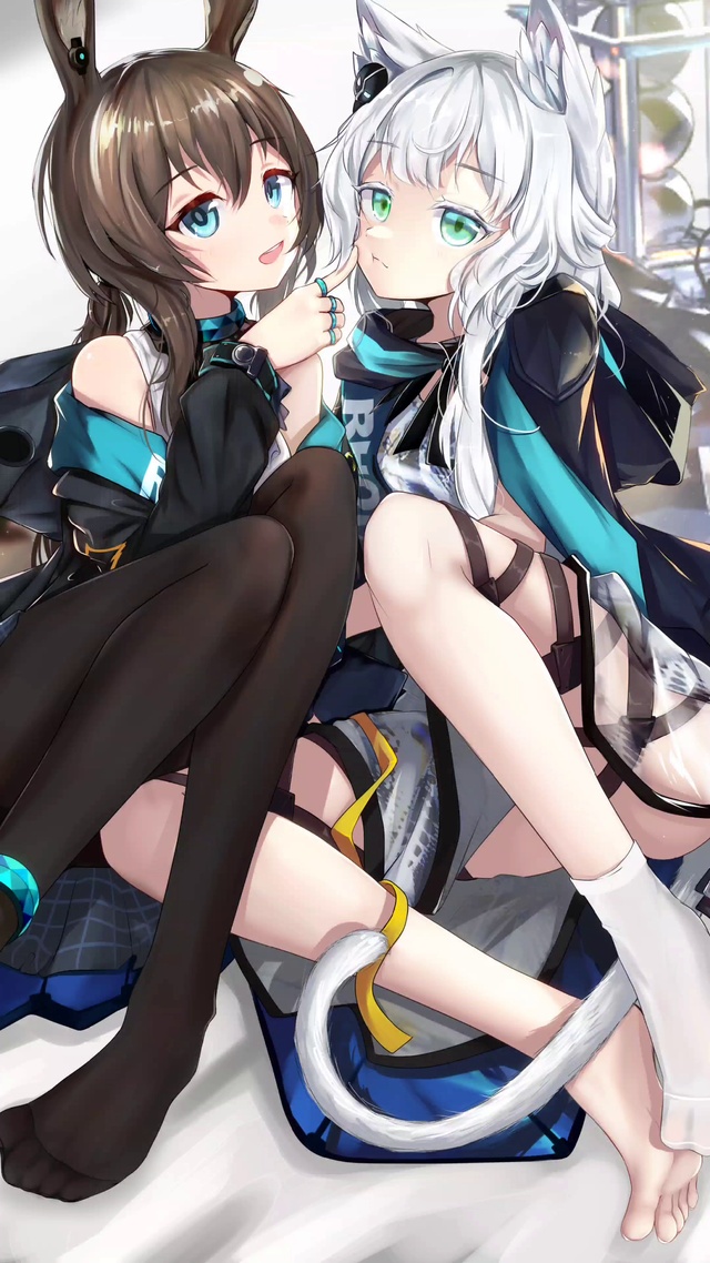 小兔子和小猫咪4k