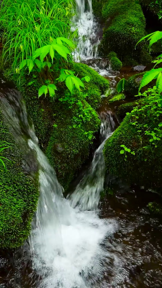 4K夏日清凉溪水