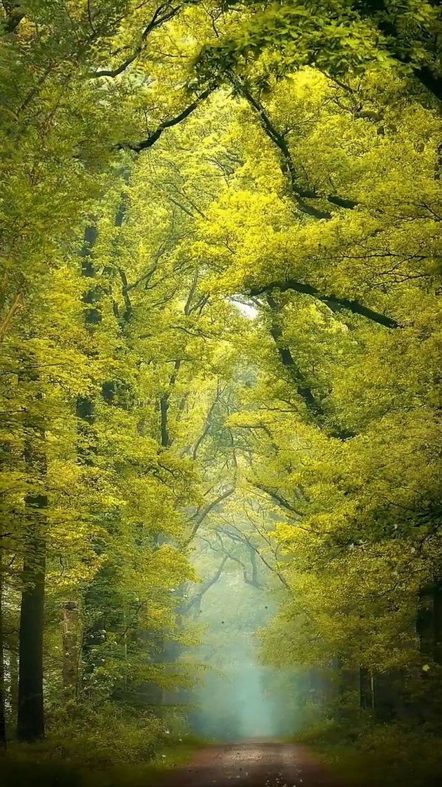 夏已尽，秋将至，一叶落，天下秋