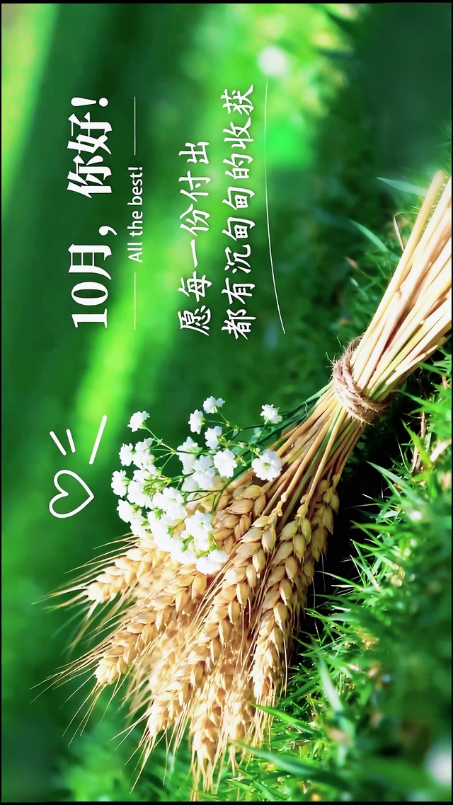 10月你好-收获满满