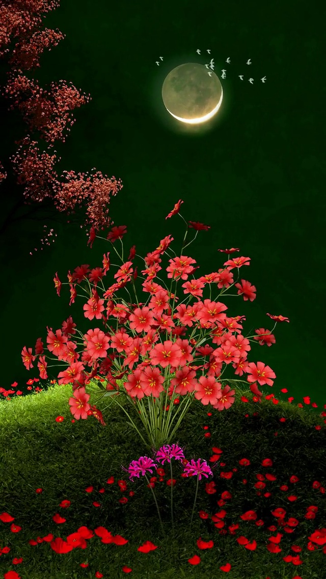 这个冬天有点冷，注意保暖，照顾好自己