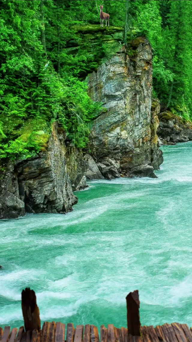 林间溪流，源远流长