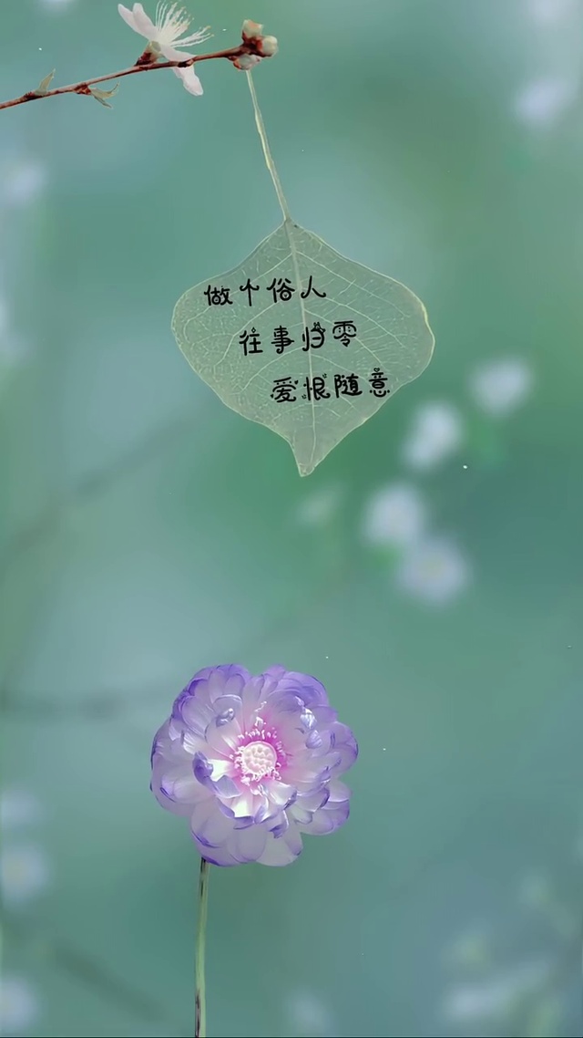 做个俗人护眼版