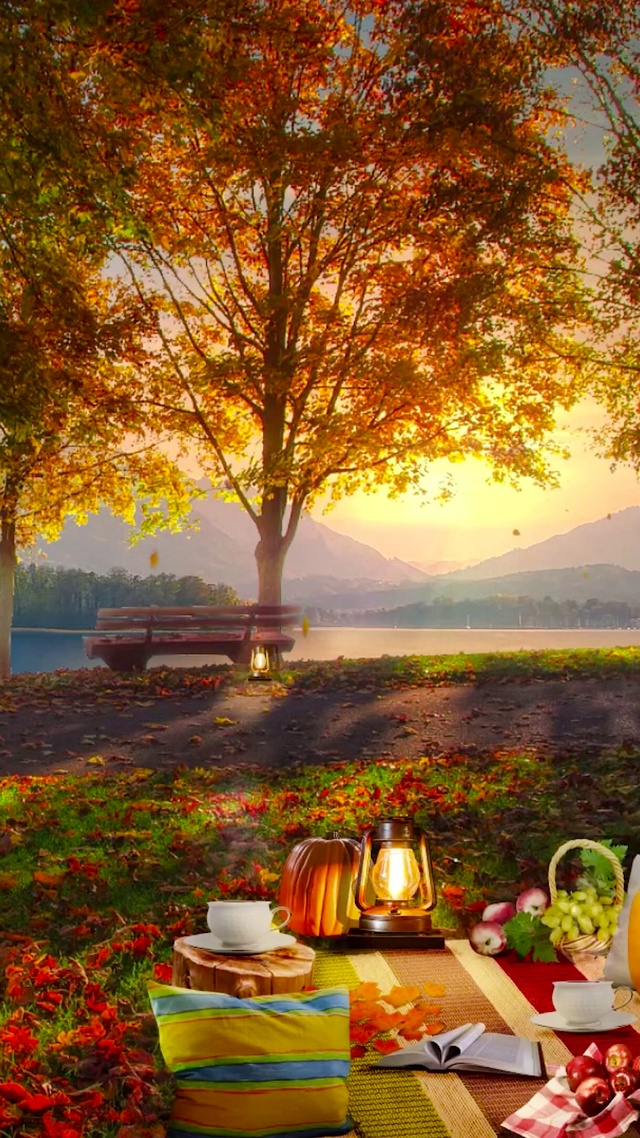 唯美夕阳秋天湖畔露营