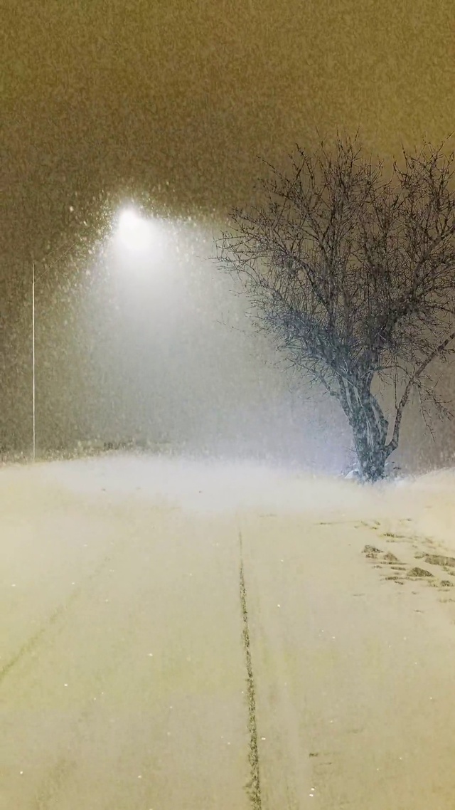 夜晚下雪壁纸