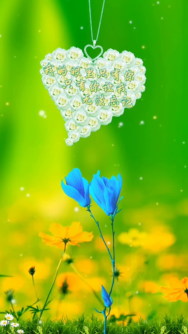 我的眼里只有你