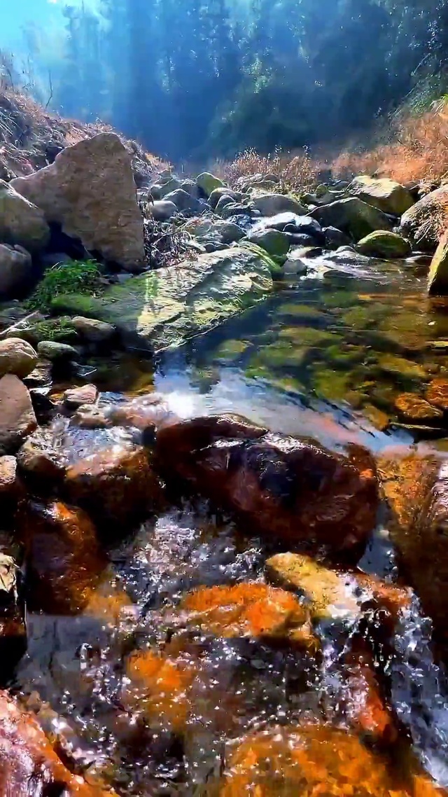 春天来啦 去踏青吧