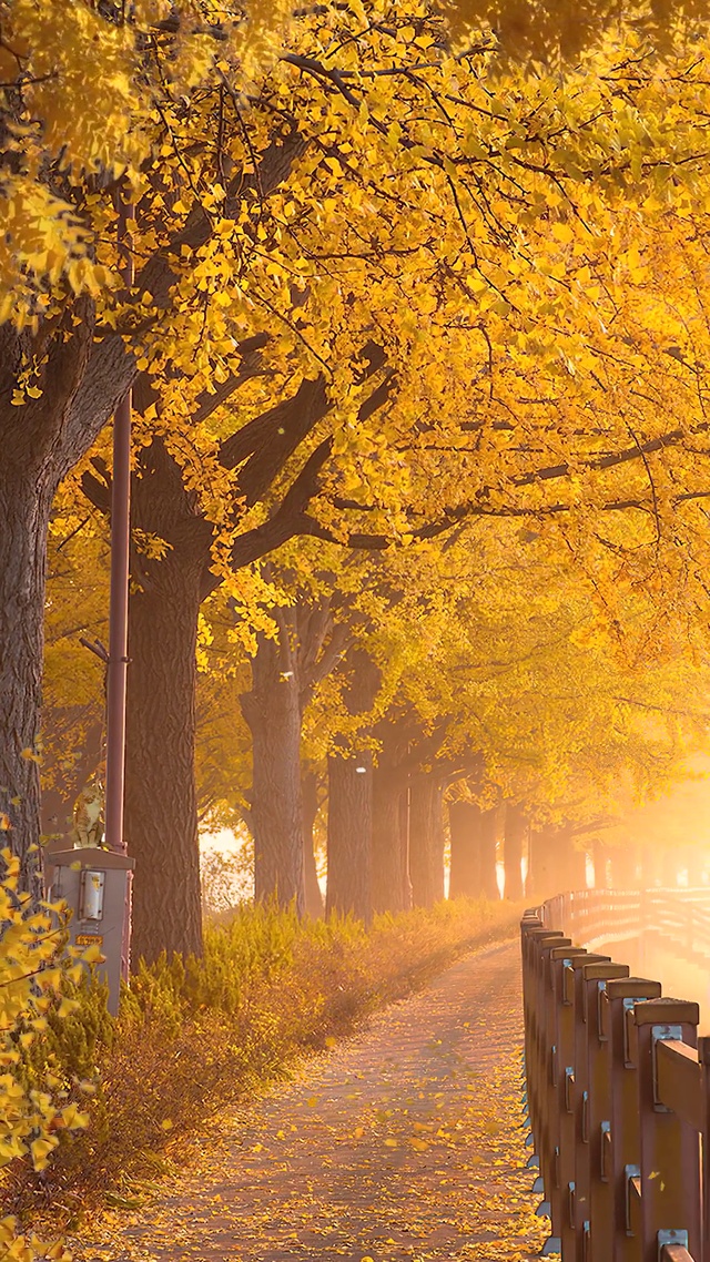 醉笔写成秋，一秋无复愁