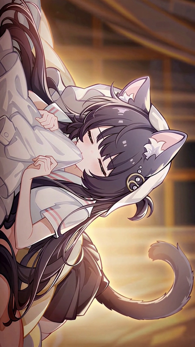家养猫