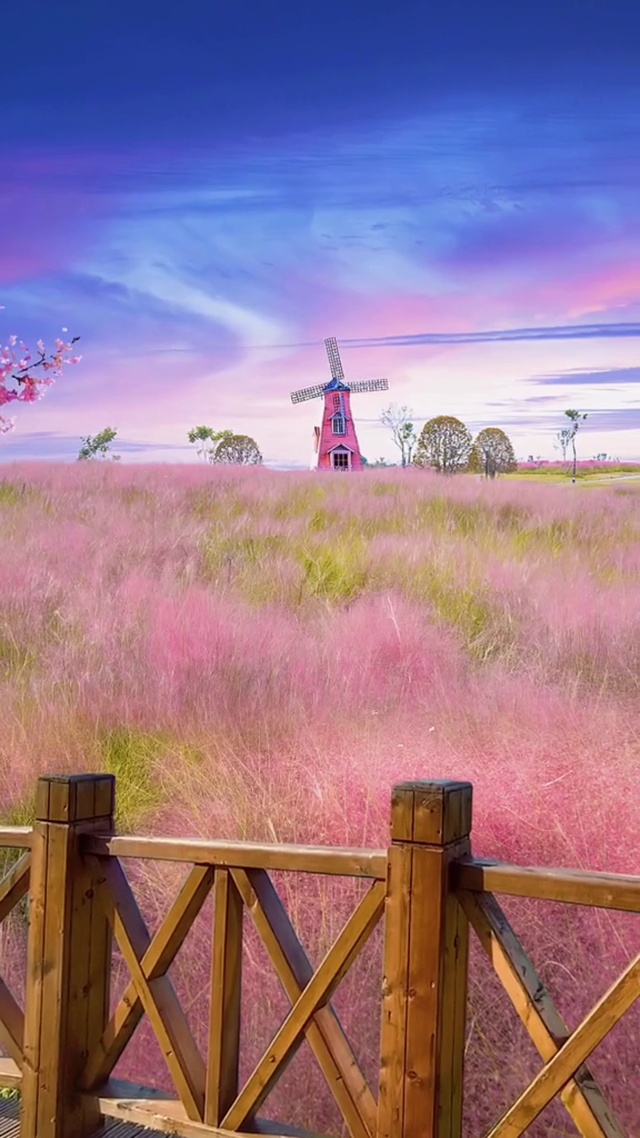 自从认识了你，我就中毒了一样，曾经以为自己百毒不侵，唯独对你却上了瘾，不管你好与不好，终究谁也无可替代。