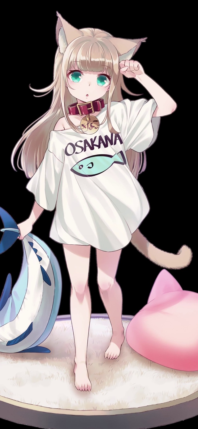 猫猫2K 深色模式 版
原图画师pixiv : 40原
图片id: 99356899