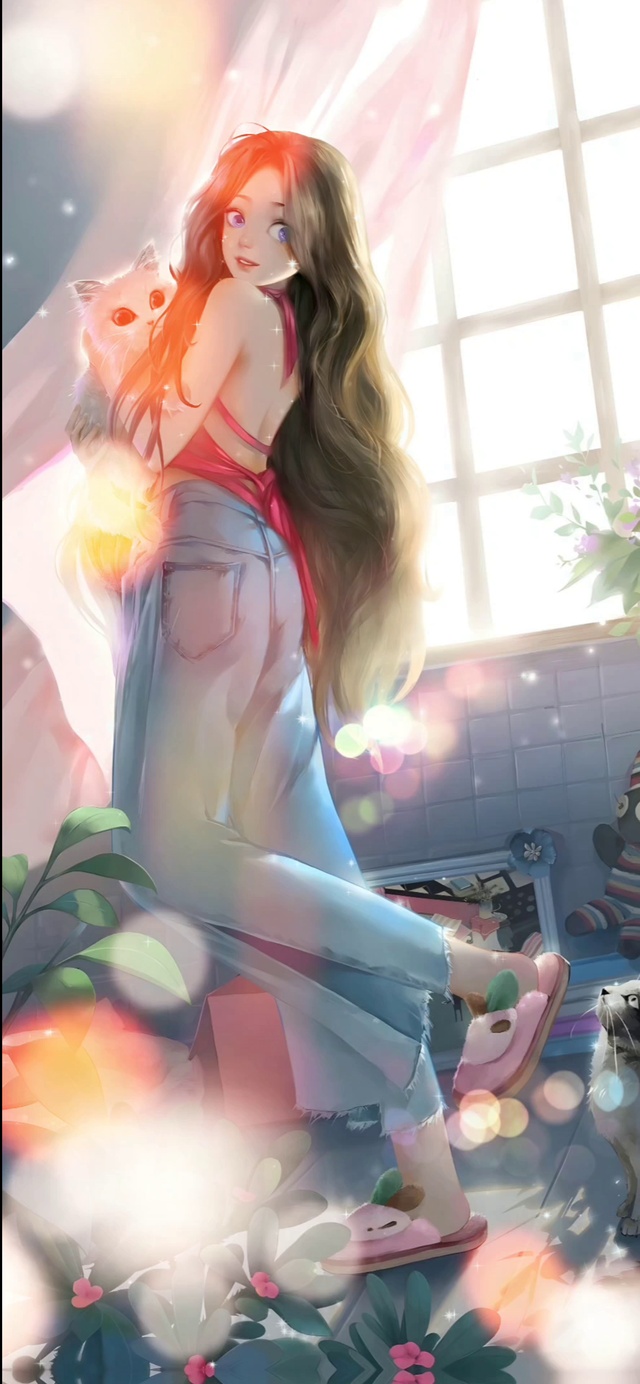 午后爱猫的少女