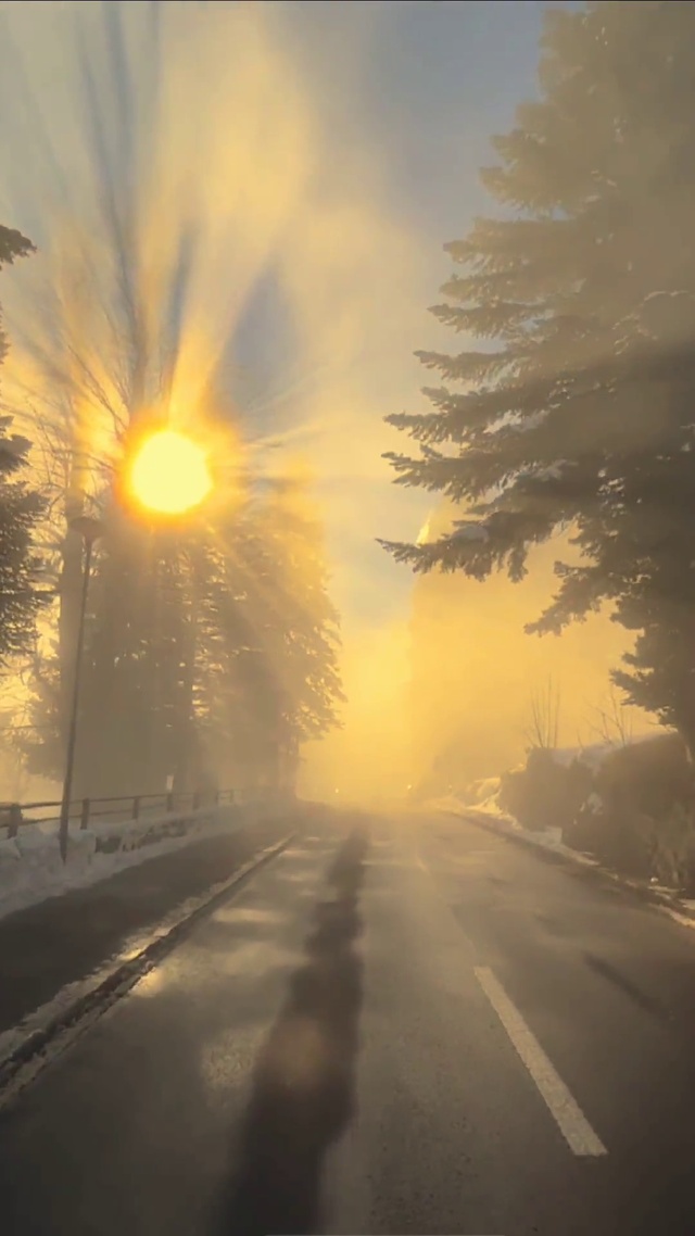 丁达尔效应好美