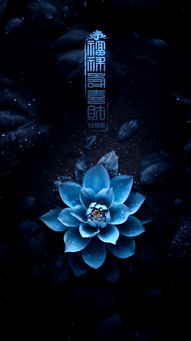 11月吉 福禄寿喜财