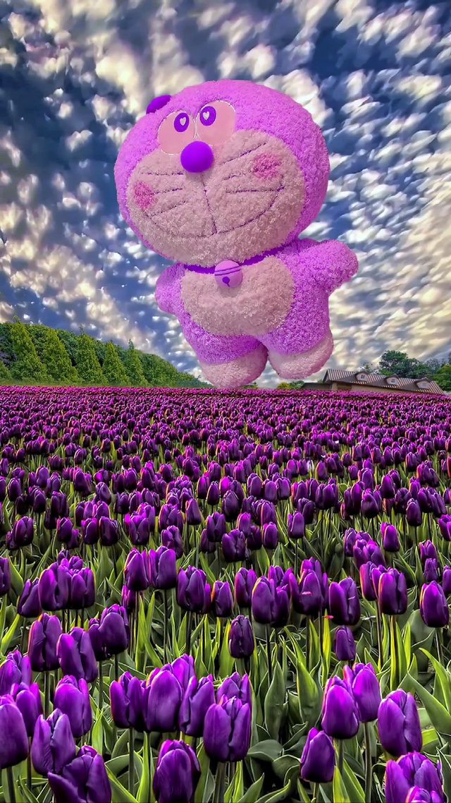 可爱紫色花海