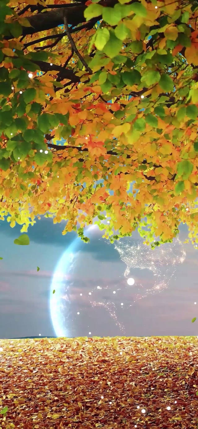 仰望流星云彩地球