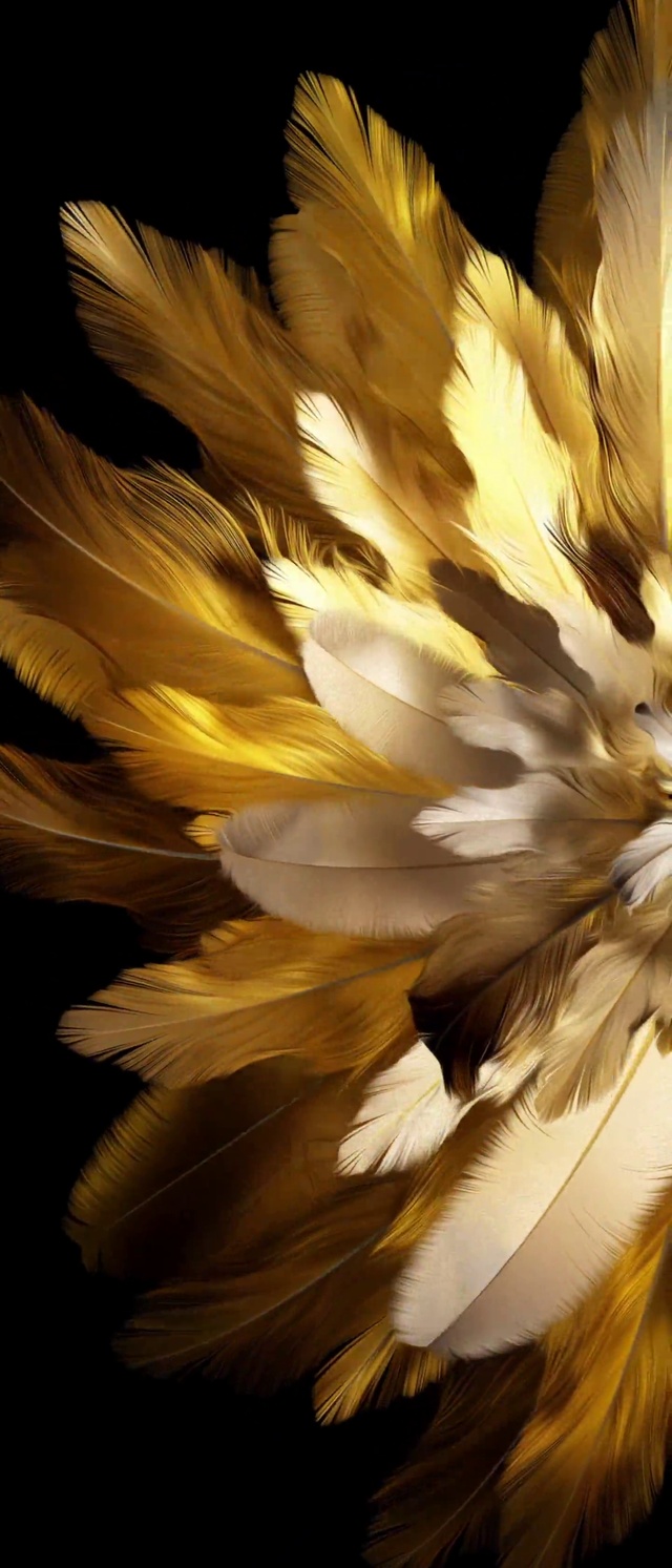 4K开屏单色动态壁纸③